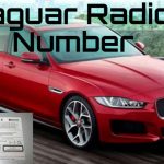 Jaguar Radio Number